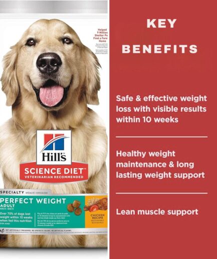 Hills Science Diet Perfect Weight Chicken Recipe Dog Food