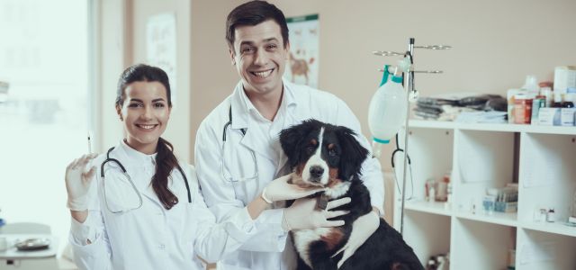 Pets Health Care